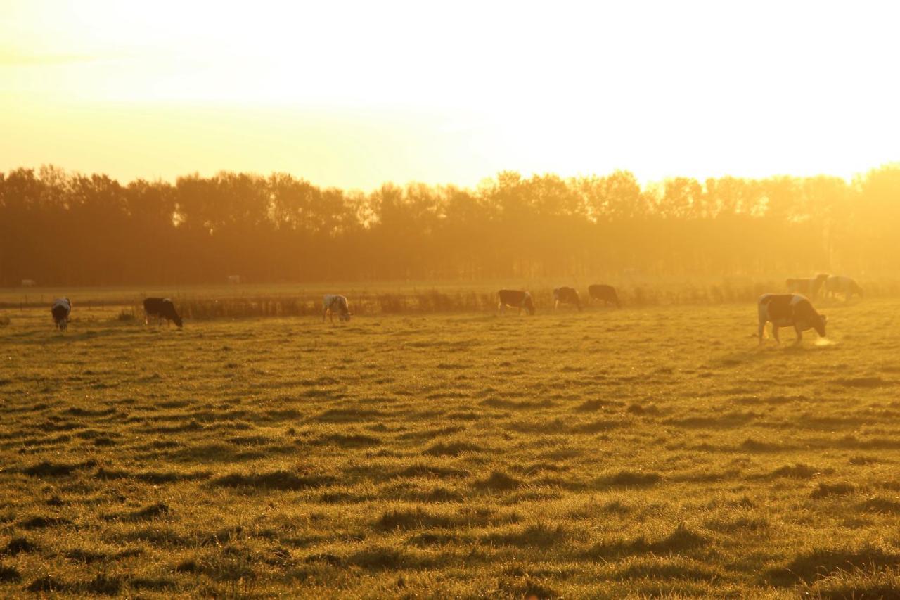 Boerderij Chalet Drijber Bagian luar foto